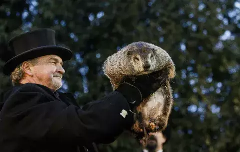 La marmota Phil predice un invierno largo en EE.UU.