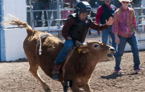 Competencia de niños se roba el show en el Rodeo de Tucson