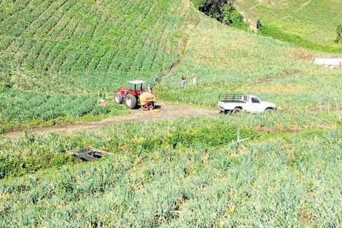 Productores de Tierras Altas anuncian  protestas para la próxima semana