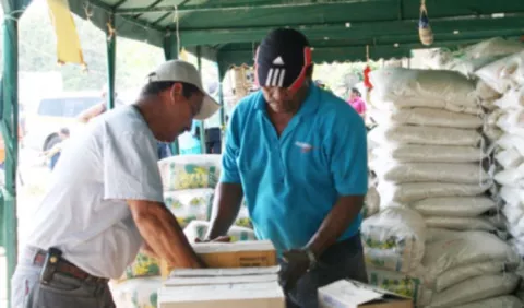 Garantizan  que hay arroz   hasta  octubre próximo 