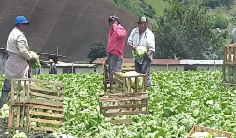 Productores denuncian que la Aupsa atenta contra la salud pública  