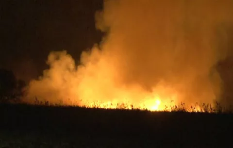 Incendio de masa vegetal consume hectáreas en La Pesa de Caldera