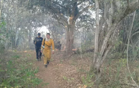 Bomberos luchan por sofocar incendio en herbazal de Chitré