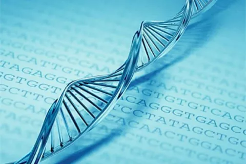 Crean una herramienta que perfecciona la edición del genoma