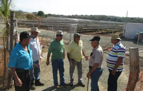 Piden que Asep no avale conexión de planta fotovoltaica en Los Santos