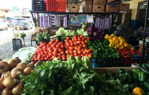 Aupsa afirma que es segura la calidad de los alimentos importados