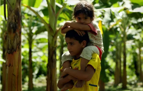 La ONU denuncia desplazamiento de más de un centenar de familias en Colombia