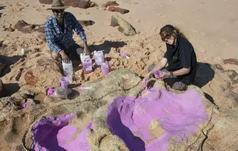 Identifican 150 huellas de 21 especies de dinosaurios en Australia