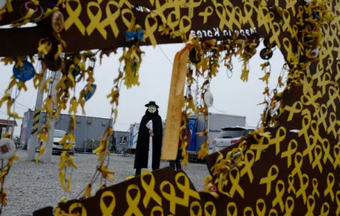 Restos hallados cerca de naufragio en Corea del Sur son de animales 