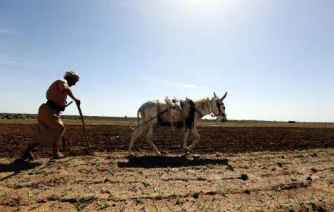 El hambre amenaza a 37 países pese a las abundantes cosechas a nivel global