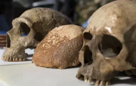 El Homo sapiens conquistó Europa desde varios frentes