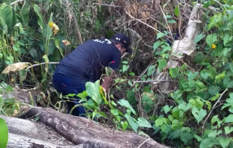 Alarma por hueso en Chiriquí, pero no era lo que esperaban