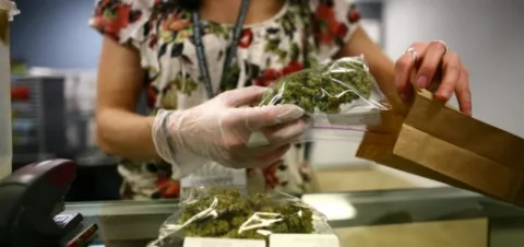 Colorado sopesa estrategia de reclasificar como medicinal la marihuana 