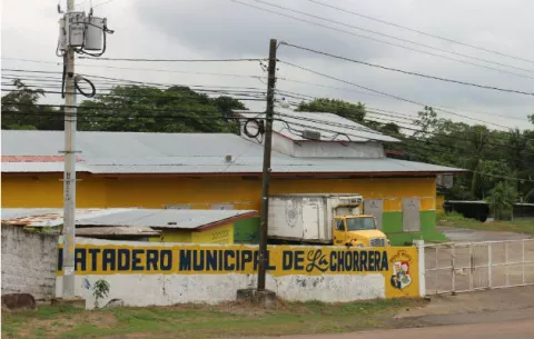 En La Chorrera, rechazan sacrificio de reses tuberculosas de finca antonera