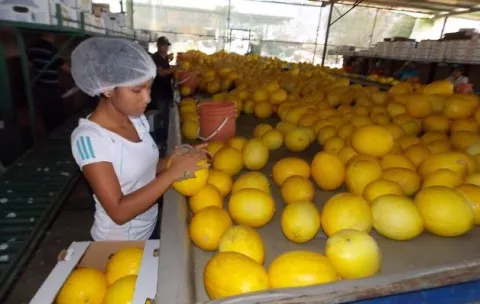 Panamá desaprovecha acuerdo comercial con la Unión Europea