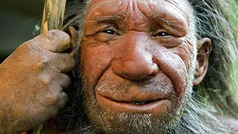 Los neandertales ya tomaban 'aspirinas' y antibióticos naturales