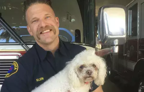 Bomberos salvan a perro dándole respiración de boca a hocico