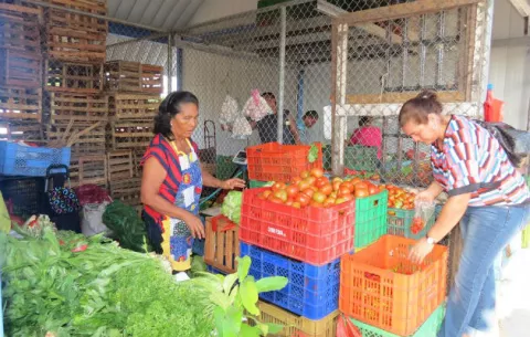 Piden a las autoridades más seguridad en mercado de abastos en La Chorrera