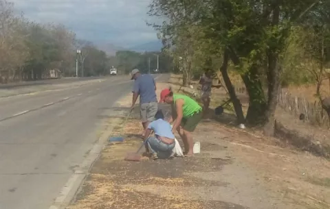 Reguero de maíz tras abrirse vagón de camión en puente sobre río Coclé