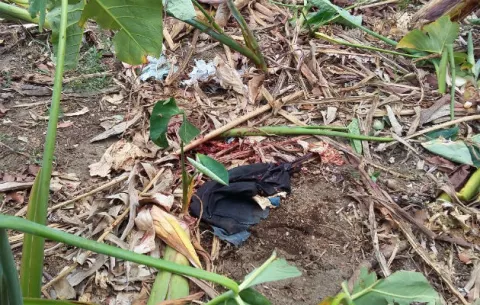 Casi matan a un 'roba otoe' en David, Chiriquí