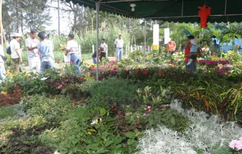 Empresarios de Pacora y San Martín  reportan pérdida millonaria