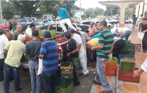 Productores inician la regaladera de tomate por falta de mercado
