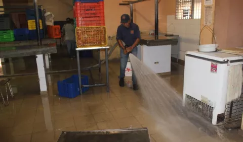 Recomiendan adecuaciones  a a mercado