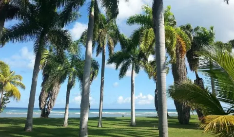 Jamaica, una isla  para gente vip