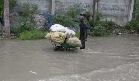 Lluvias destruyen cosecha