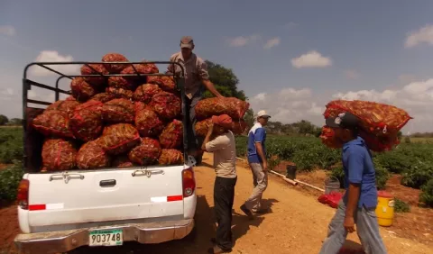Productores se sienten burlados y excluidos  por  las autoridades 