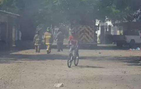 Abejas africanizadas atacan a personas y animales en el mercado de Antón