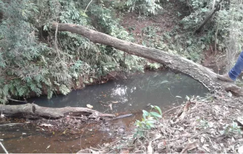 Sigue paralizada potabilizadora de Cerro Cama por sospecha de contaminación del río