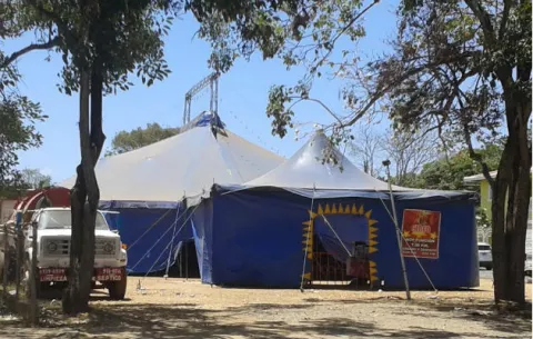 Decomisan mono araña de circo en Monagrillo