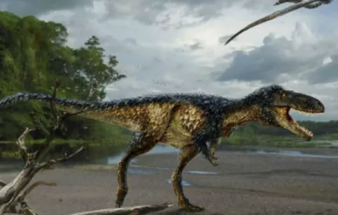 Descubren huellas de un reptil antecesor de los dinosaurios en el Pirineo
