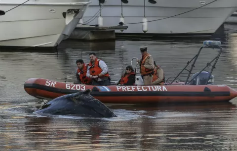 Movimiento de pasajeros por vías marítimas se duplica