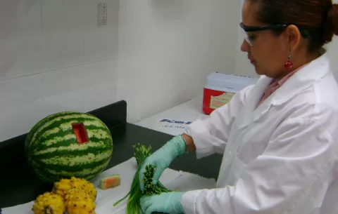 Mida aclara operatividad de laboratorio fitosanitario