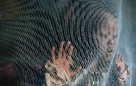 Tres países africanos probarán la primera vacuna contra la malaria