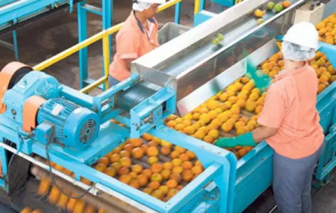 Aprobarán por insistencia proyecto que regula transporte de combustible para maquinaria agrícola