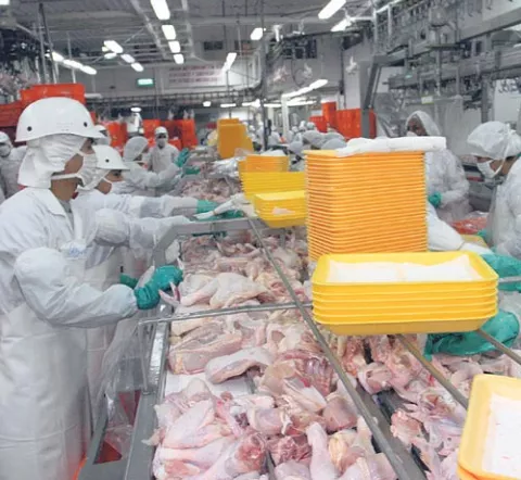 Venta de pollo congelado como fresco es un engaño