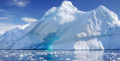 La Antártida, el Continente Blanco que un día fue verde