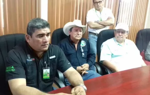 Autoridades desmienten brote de tuberculosis en ganado chiricano