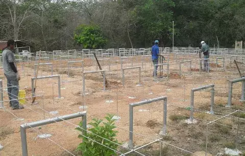 Instalan viveros en Reserva Forestal de El Colmón en Macaracas