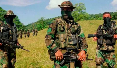 Aumentan bandas en Colombia 