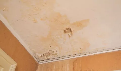 Hogar a prueba de la humedad