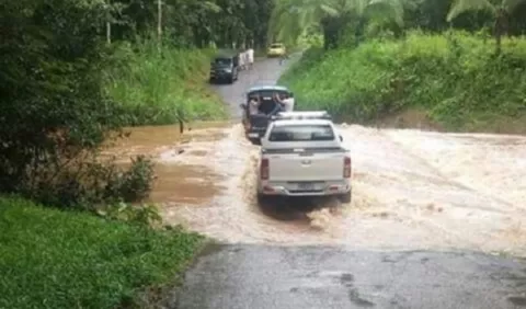 Carencia de Estudio de Impacto Ambiental  es causa de lenta obra vial