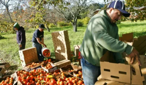 Empresarios piden una solución para el agro