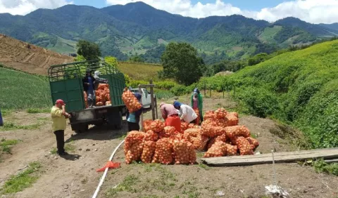 Empresarios piden al Gobierno que no deje desplomar producción