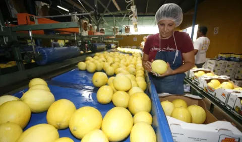   Panamá, con el peor resultado de la región    en valor  de exportación      