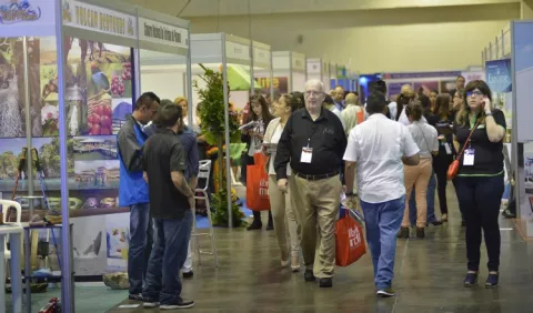 Expoturismo permite organizar vacaciones 