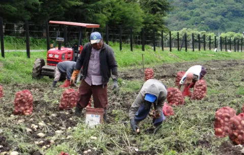 Empresarios destacan tareas aún pendientes del Gobierno